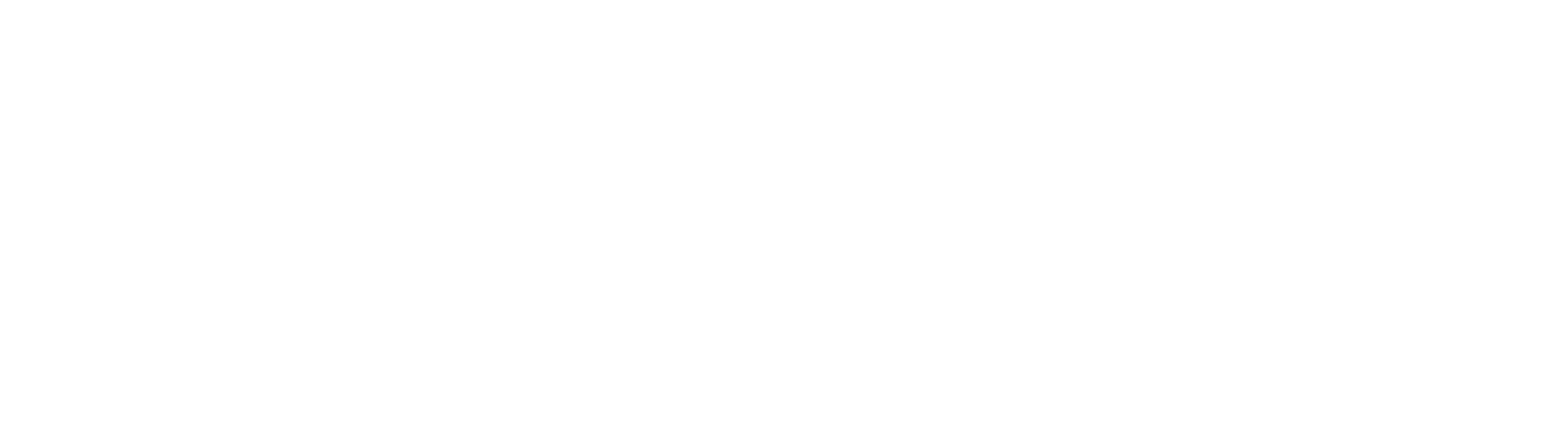 FADESSI logo
